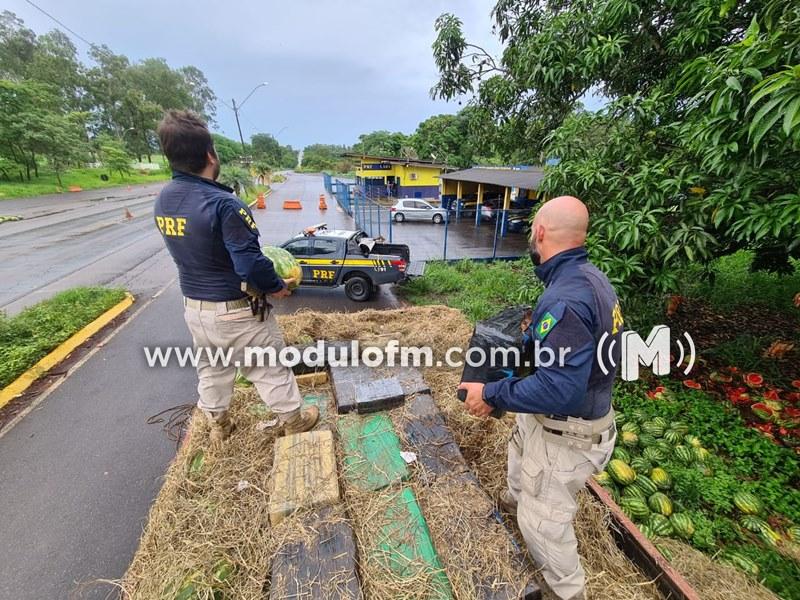 PRF apreende quase 4 toneladas de maconha escondida em...