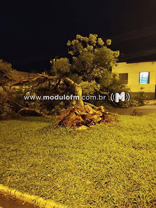 Imagem 4 do post A caótica situação da avenida Dom José André Coimbra volta a preocupar moradores após intenso temporal em Patrocínio.