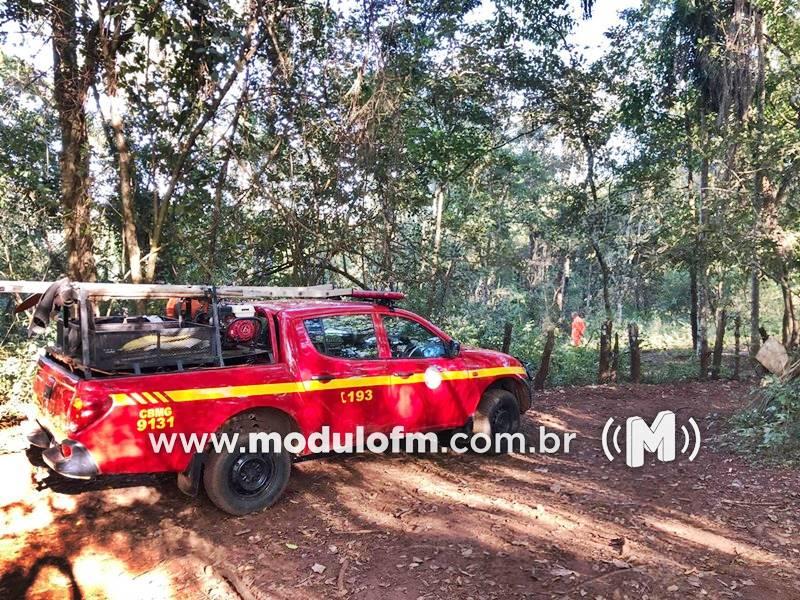 Homem fica gravemente ferido após corte de árvore na...