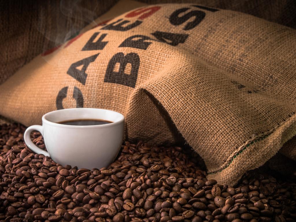 Conselho Nacional do Café se posiciona contra tarifas dos EUA sobre o...