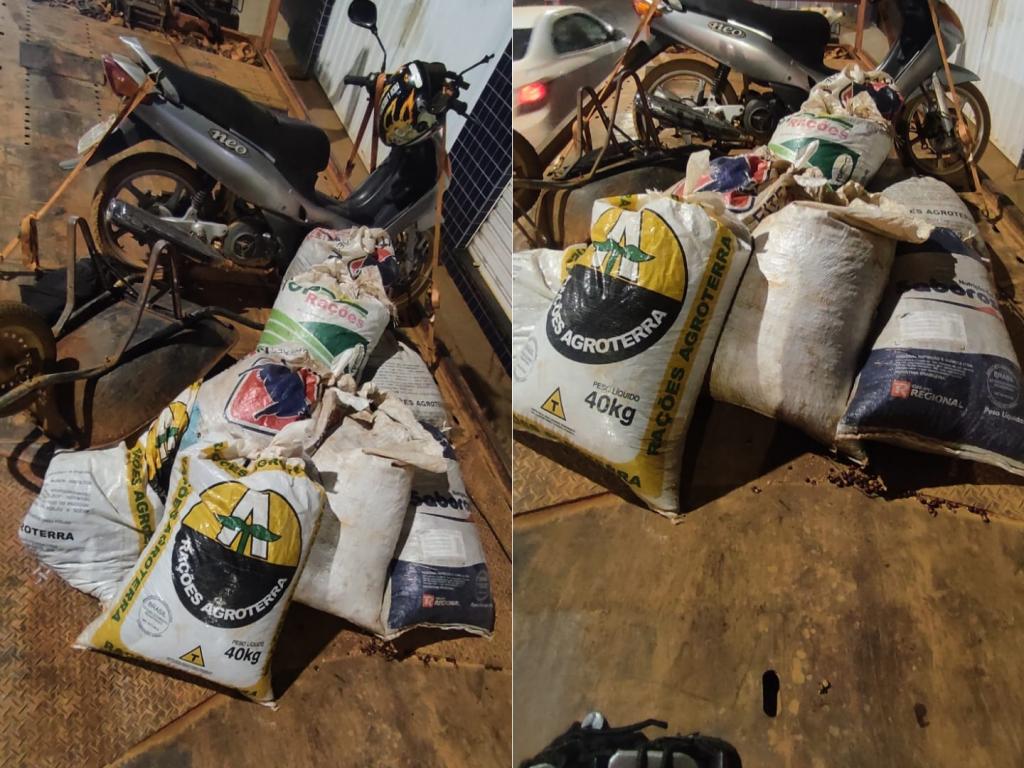 Dupla é presa em flagrante pela PM furtando café em lavoura de...
