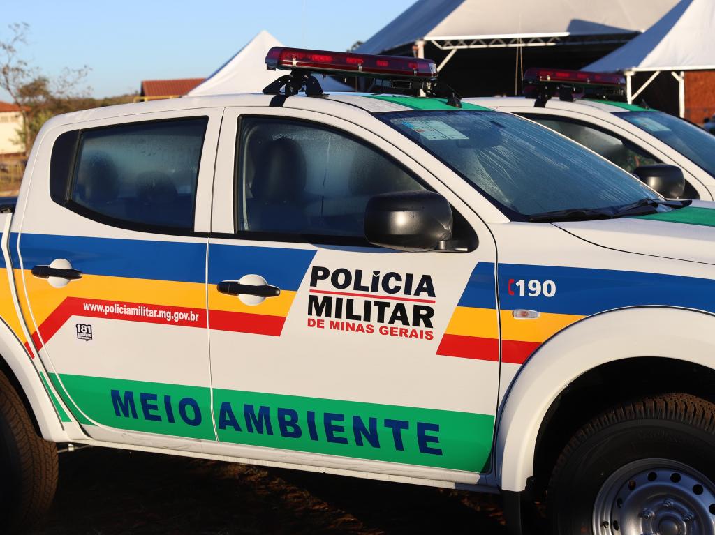 Operação em Coromandel apreende 83 pássaros e gera multa de quase R$ 370 mil a idoso