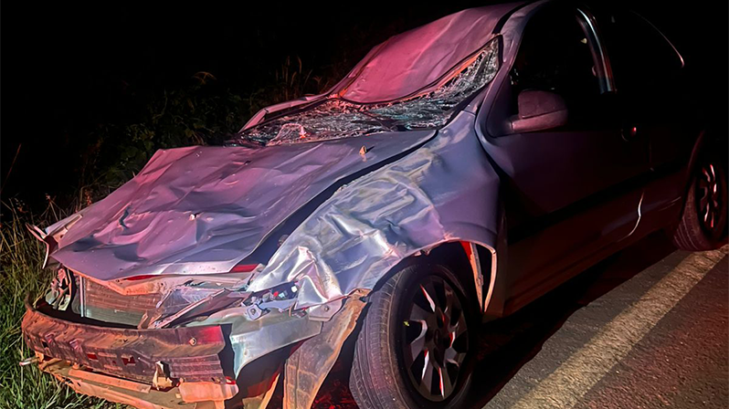 Colisão com animal deixa duas pessoas feridas na LMG-731, em Patrocínio