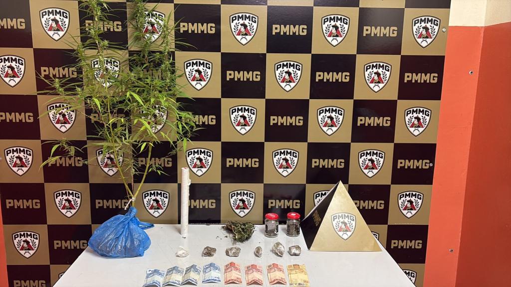 Denúncia anônima leva à apreensão de pé de maconha e prisão por tráfico em Coromandel