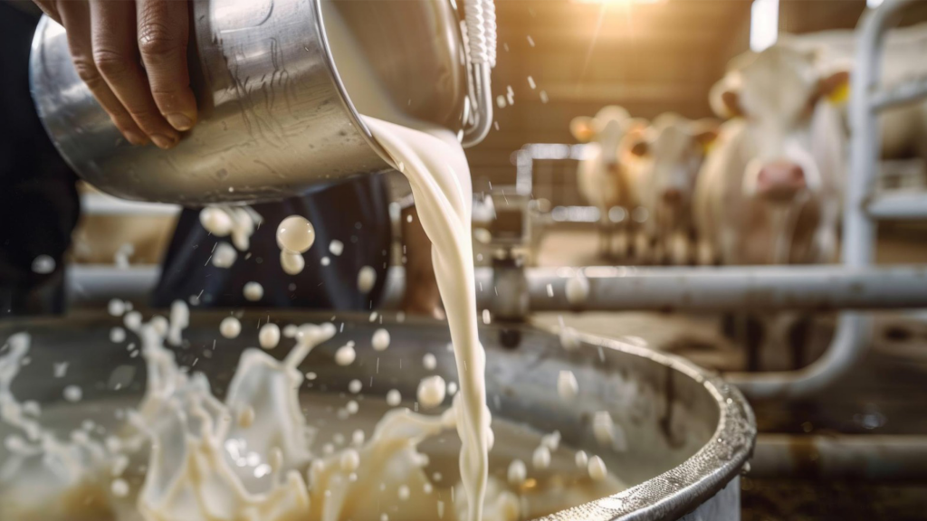 Hospital do Câncer de Patrocínio inicia campanha de arrecadação de leite na...