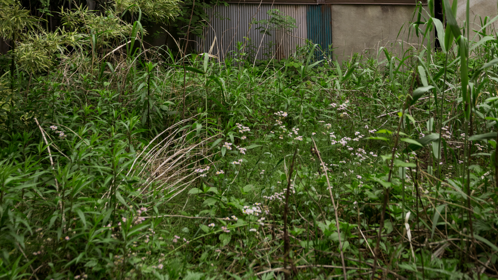 Prefeitura propõe regras mais rígidas para limpeza de lotes em Patrocínio