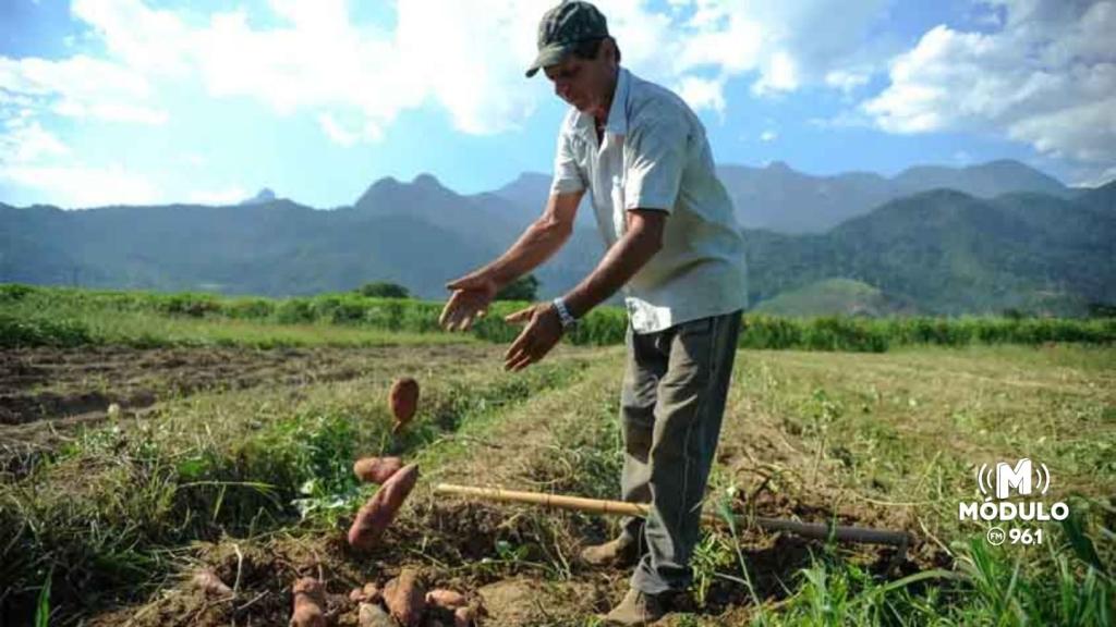 Câmara aprova projeto que permite safrista manter Bolsa Família durante período de colheita