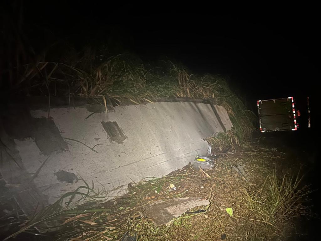 Imagem 1 do post Caminhão carregado com cenouras tomba na BR-354, em Rio Paranaíba