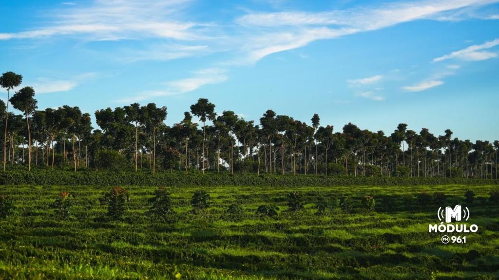 Nova marca da Região do Cerrado Mineiro será apresentada em feira internacional em Bruxelas na Bélgica