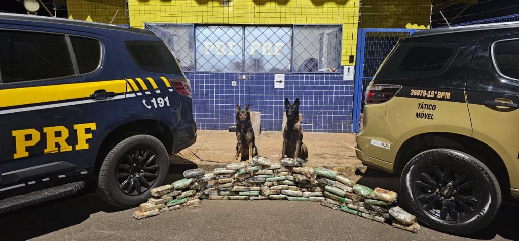 Imagem 1 do post PRF apreende drogas escondidas em pneus de caminhão na BR-365, em Patos de Minas